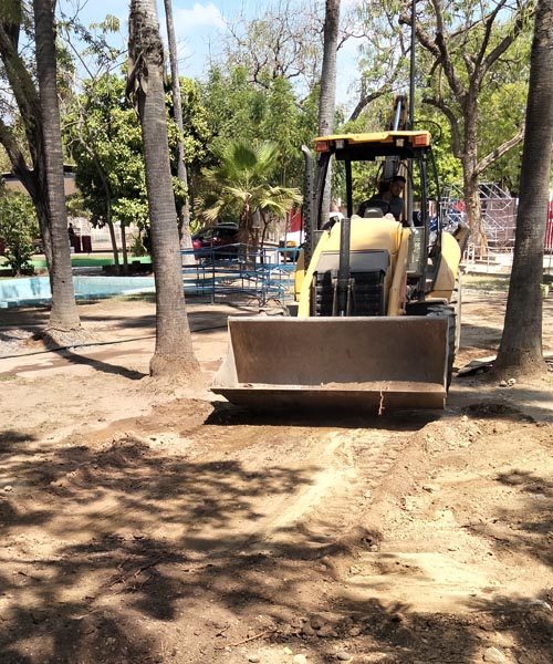 parque5